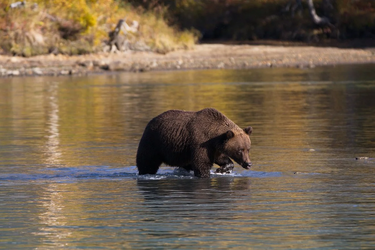 Lake Clark National Park and Preserve