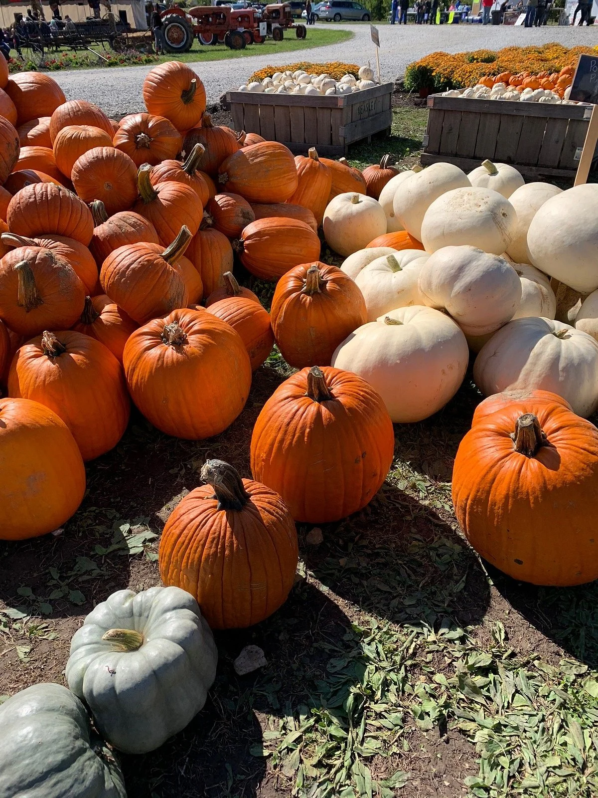 Beasley's Orchard and Gardens