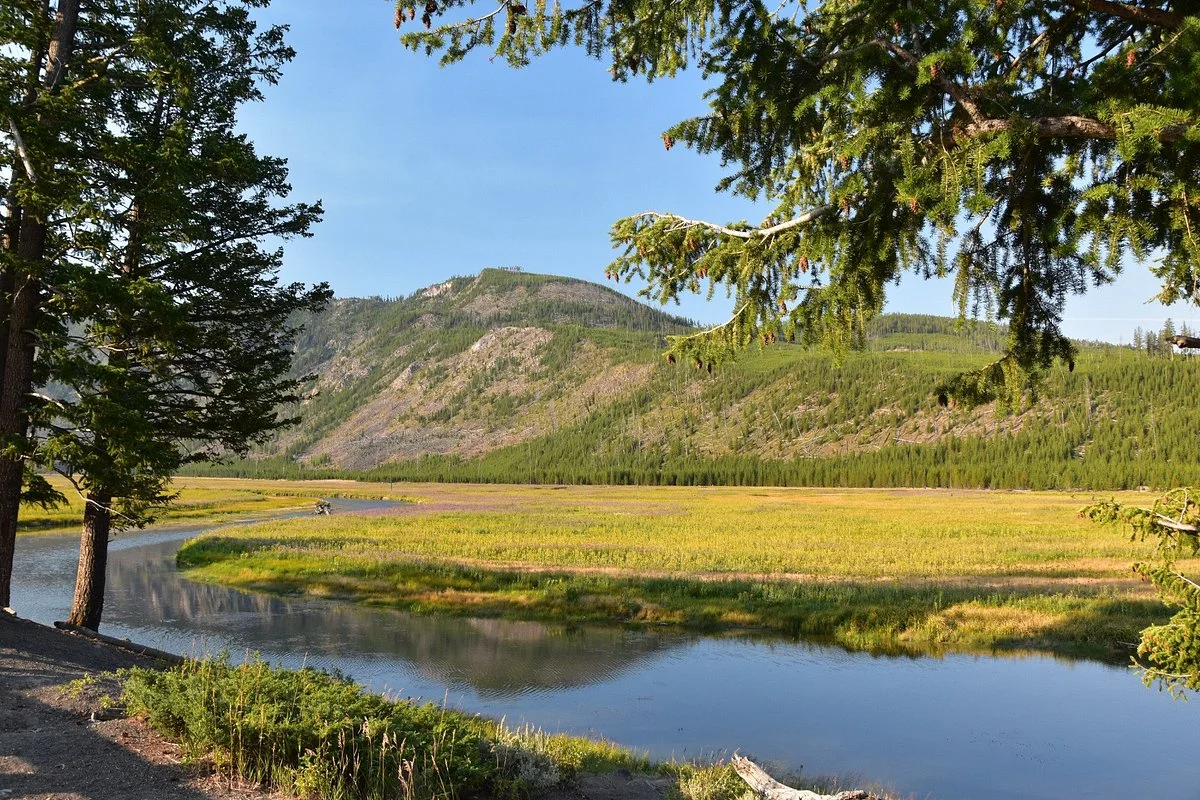 Madison River