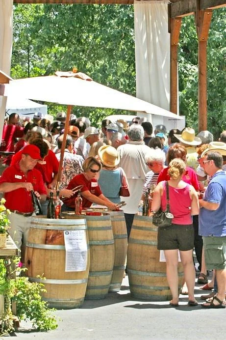 Pilot Peak Vineyard & Winery