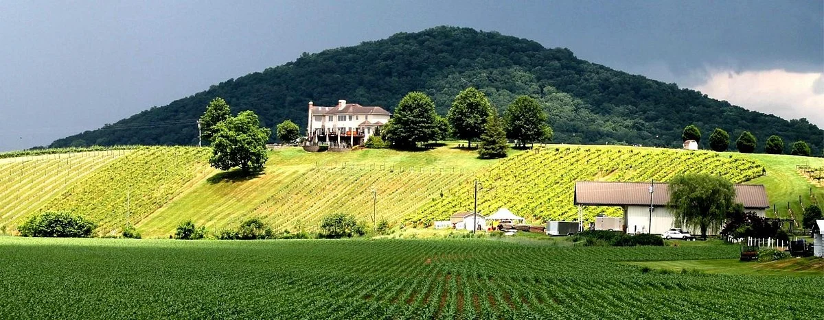 Bluestone Vineyard