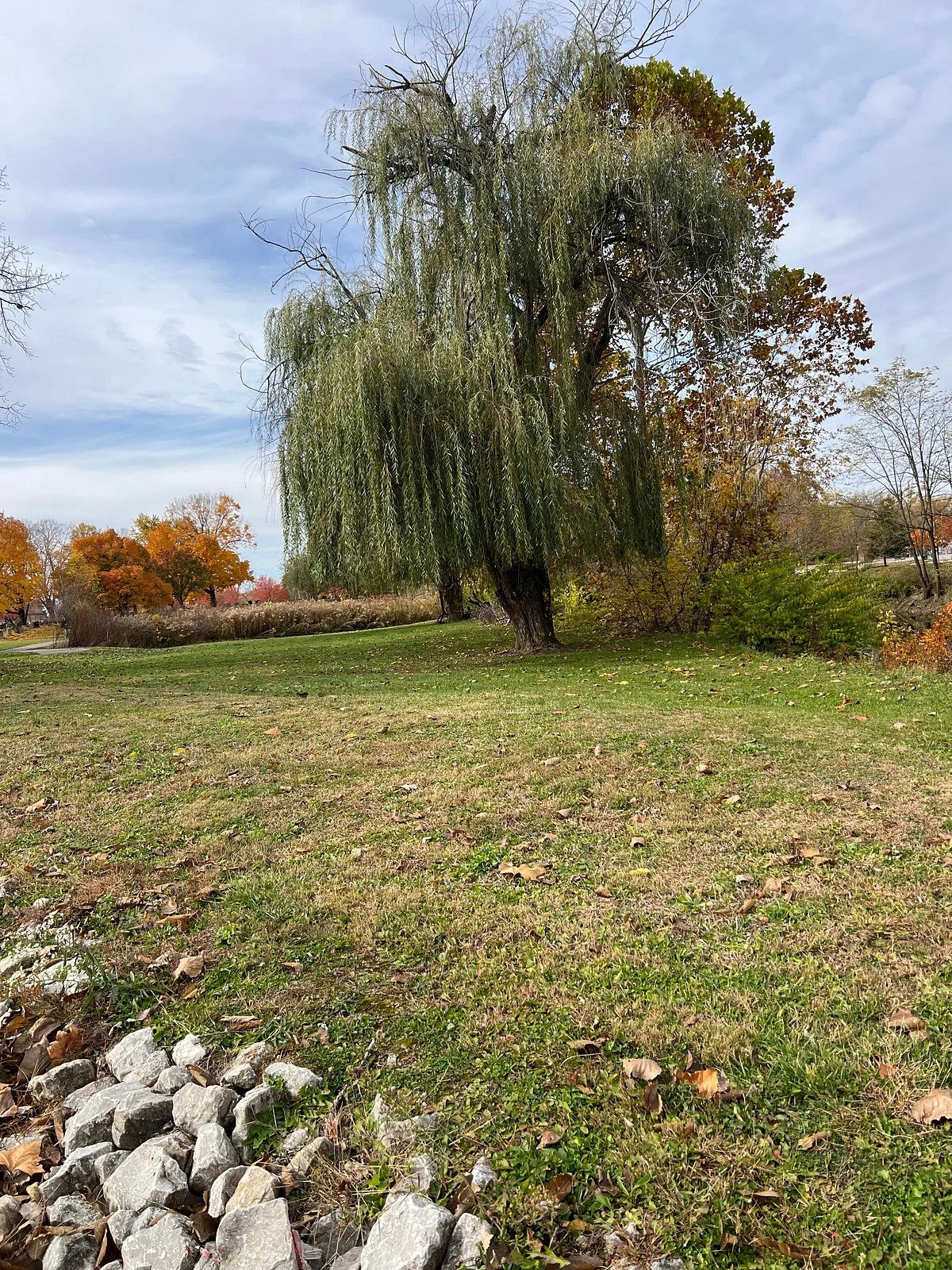 Province Park