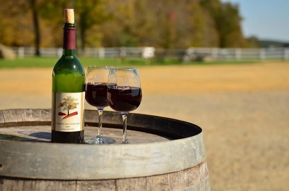 Cassidy Hill Vineyard