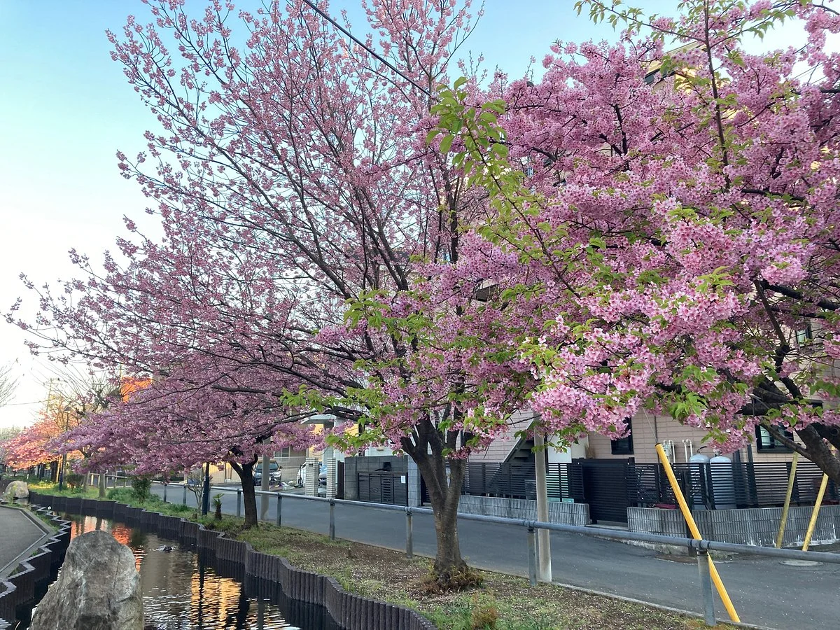 Egawa Seseragi Boardwalk