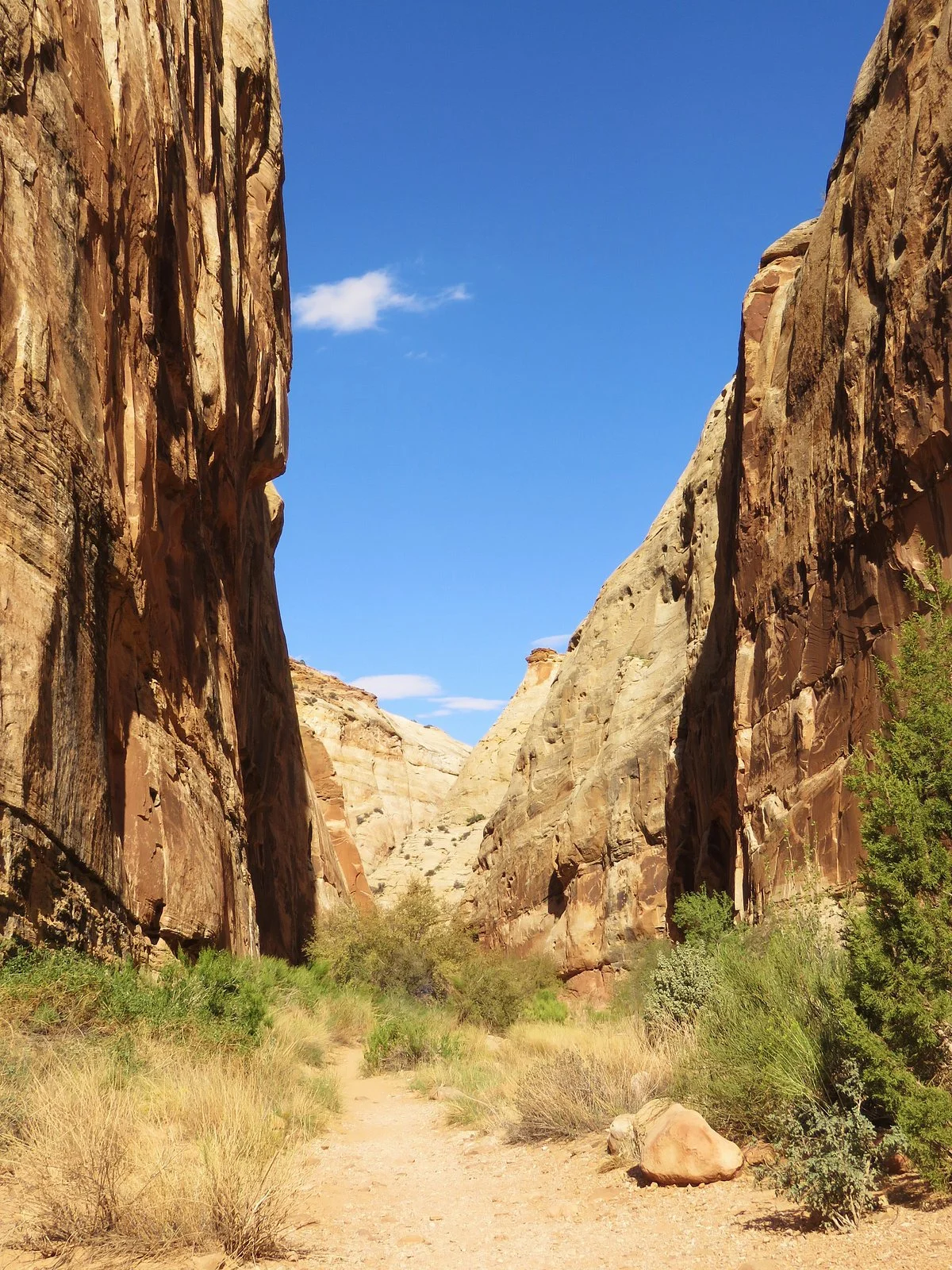 Capitol Gorge Trail