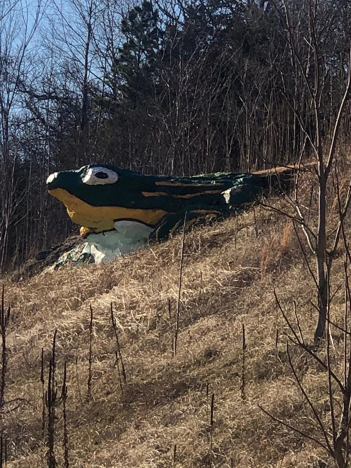 Frog Rock