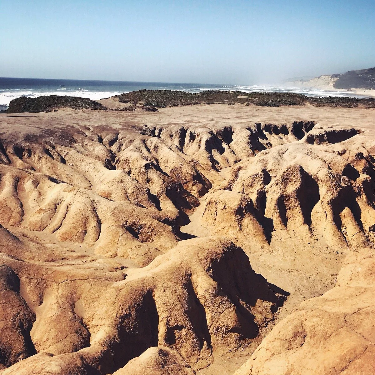 Pescadero Marsh Natural Preserve