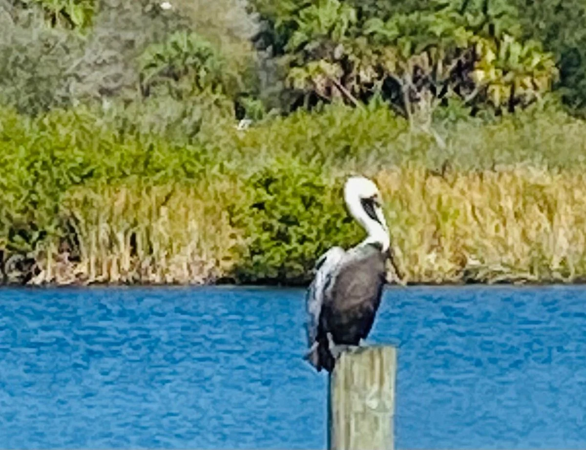 Palm Bay Regional Park