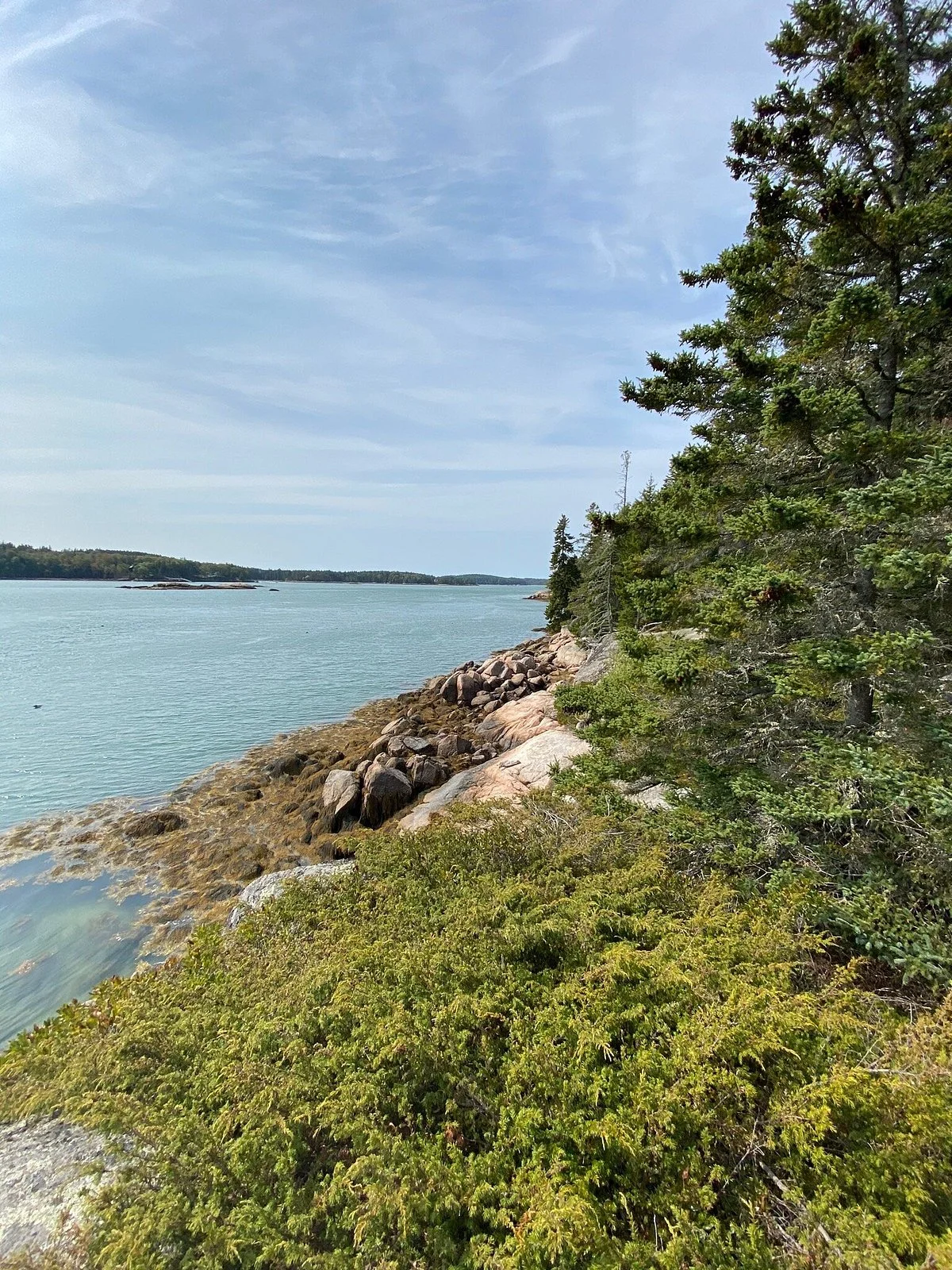 Edgar M. Tennis Preserve