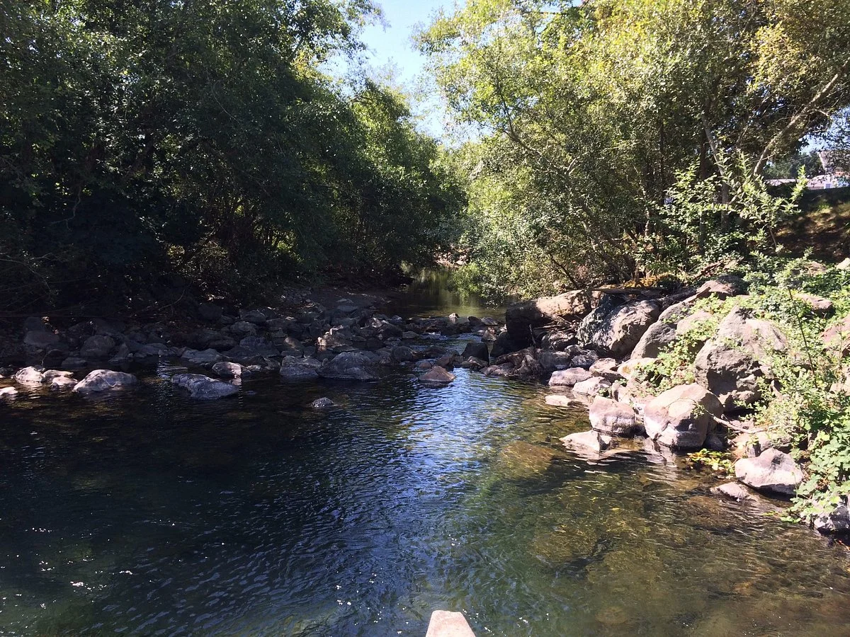 Rowdy Creek Fish Hatchery
