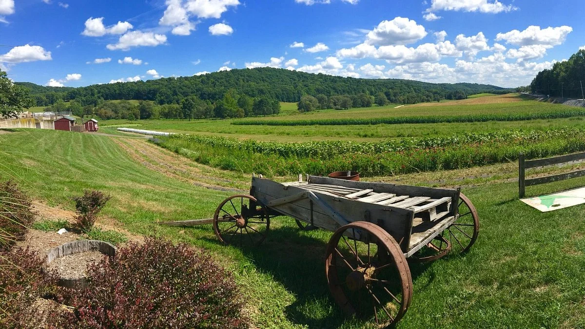 Green Valley Farms