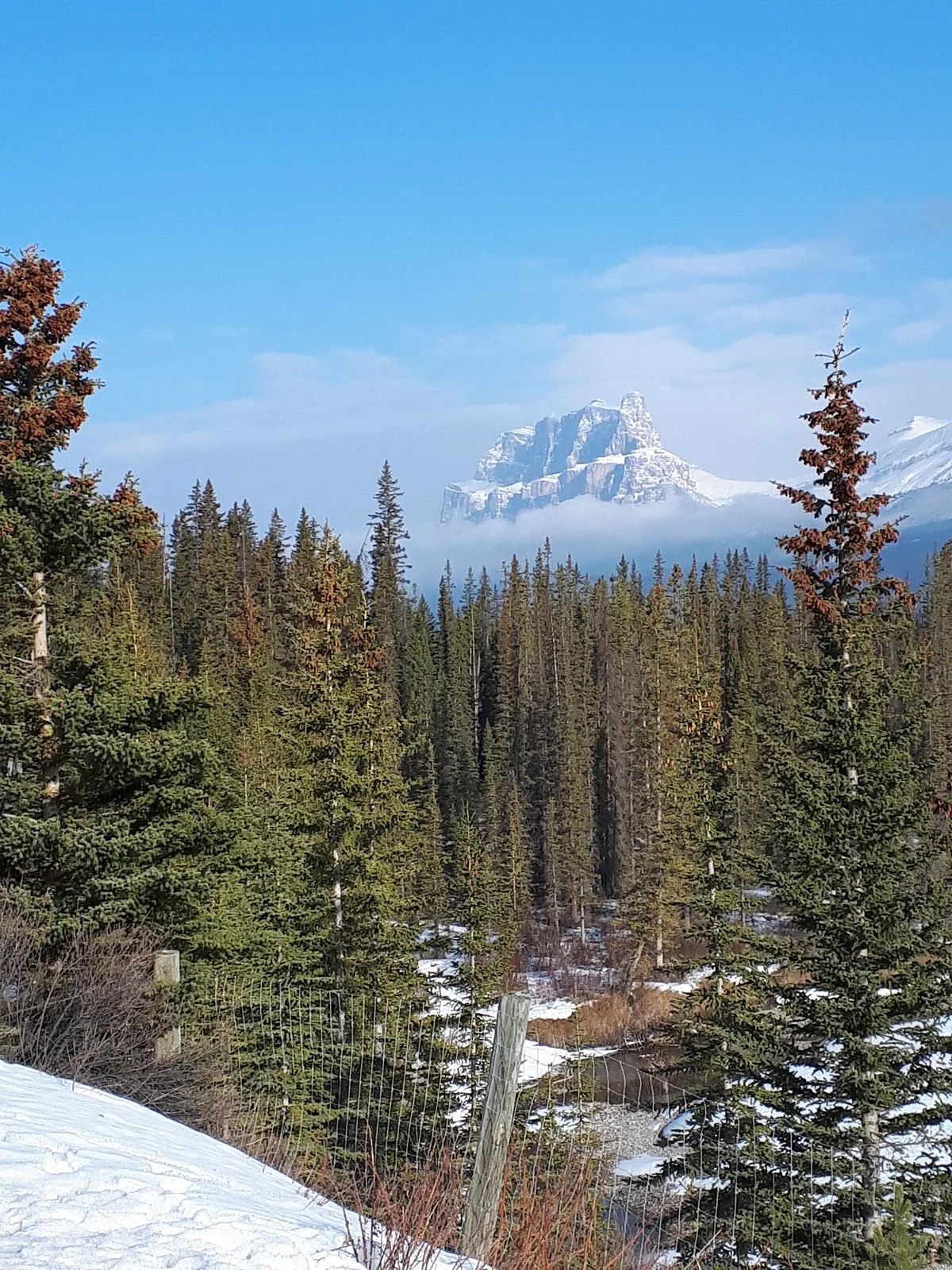 Castle Lookout
