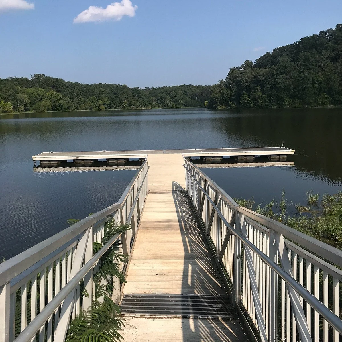 Salacoa Creek Park