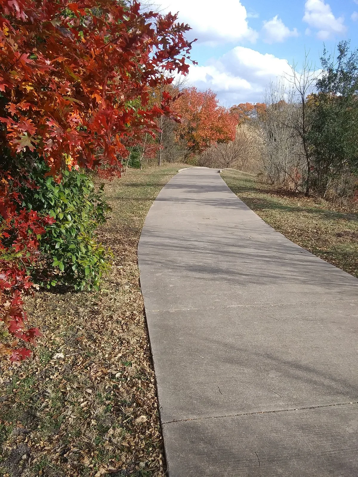 Roy Orr Trail