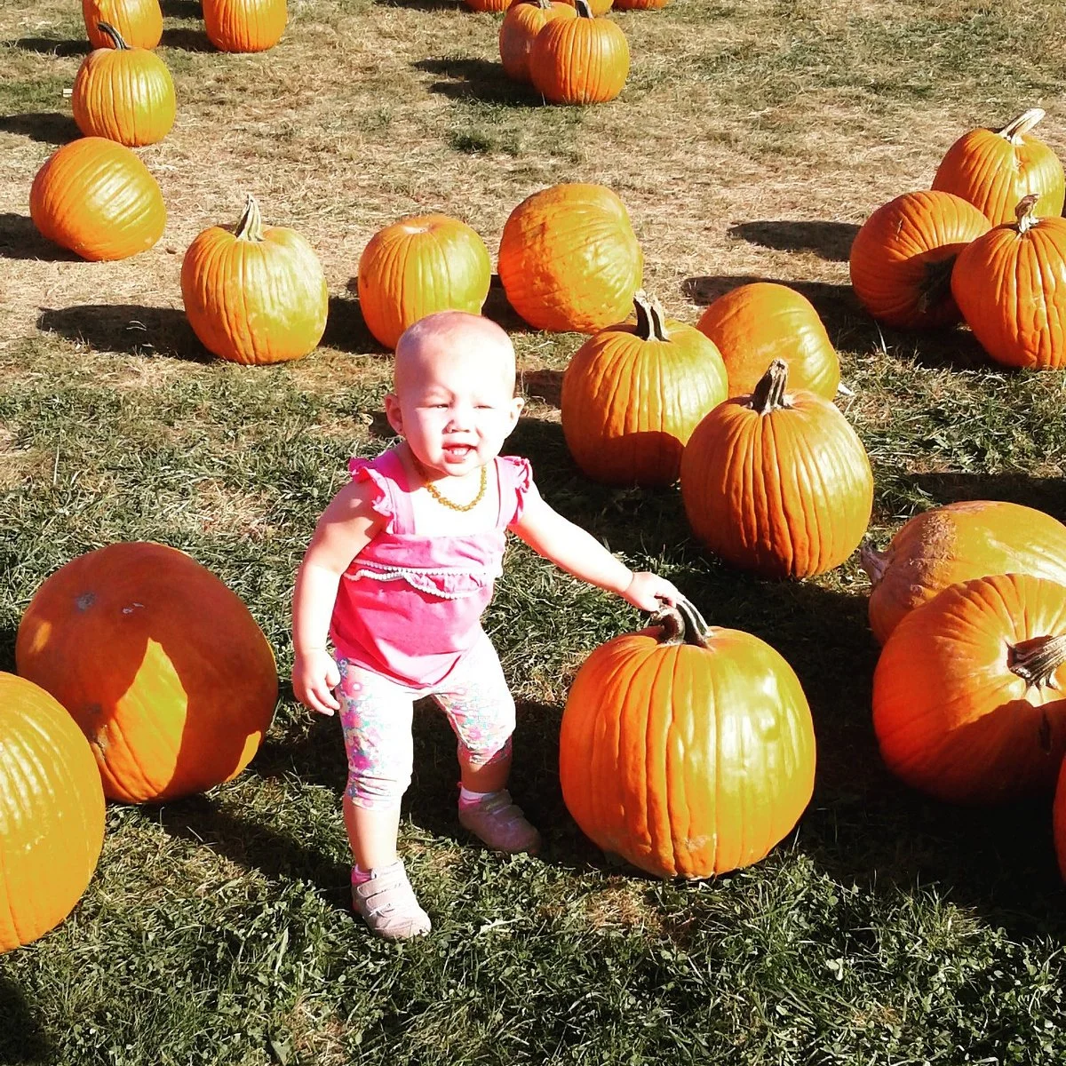 Holmberg Orchards & Winery