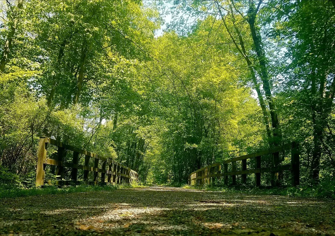 Lebanon trail system