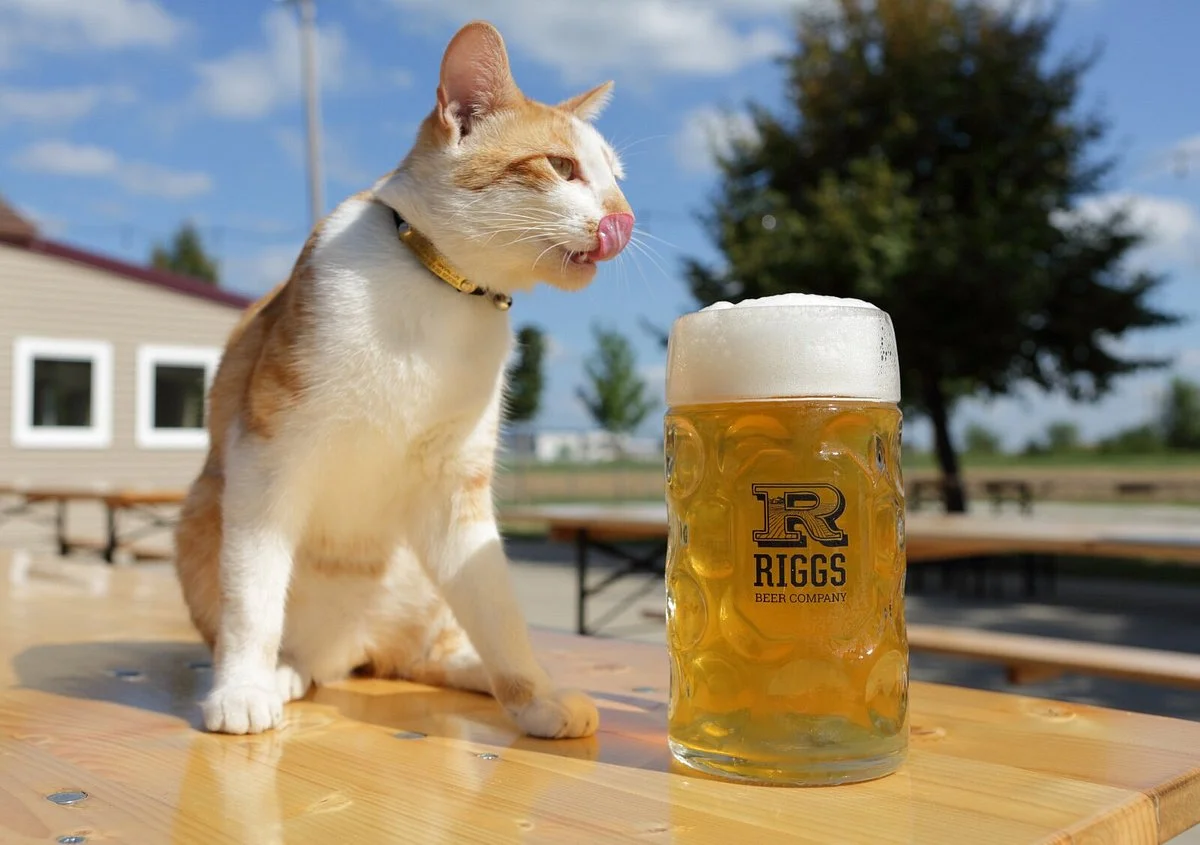 Riggs Beer Company