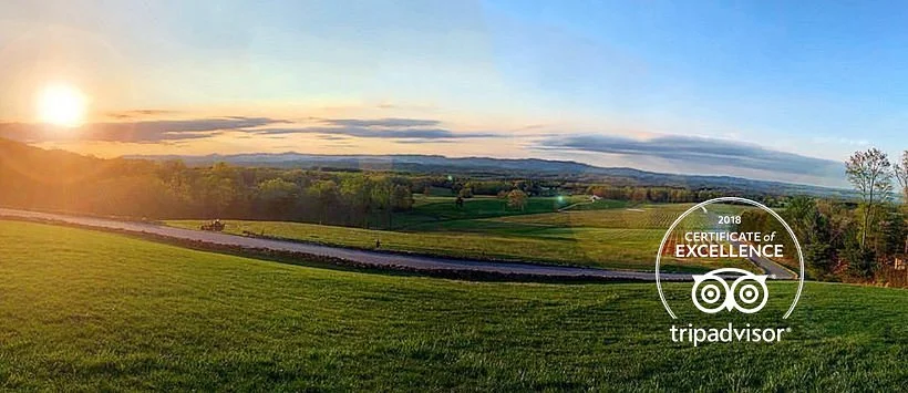 Piccione Vineyards