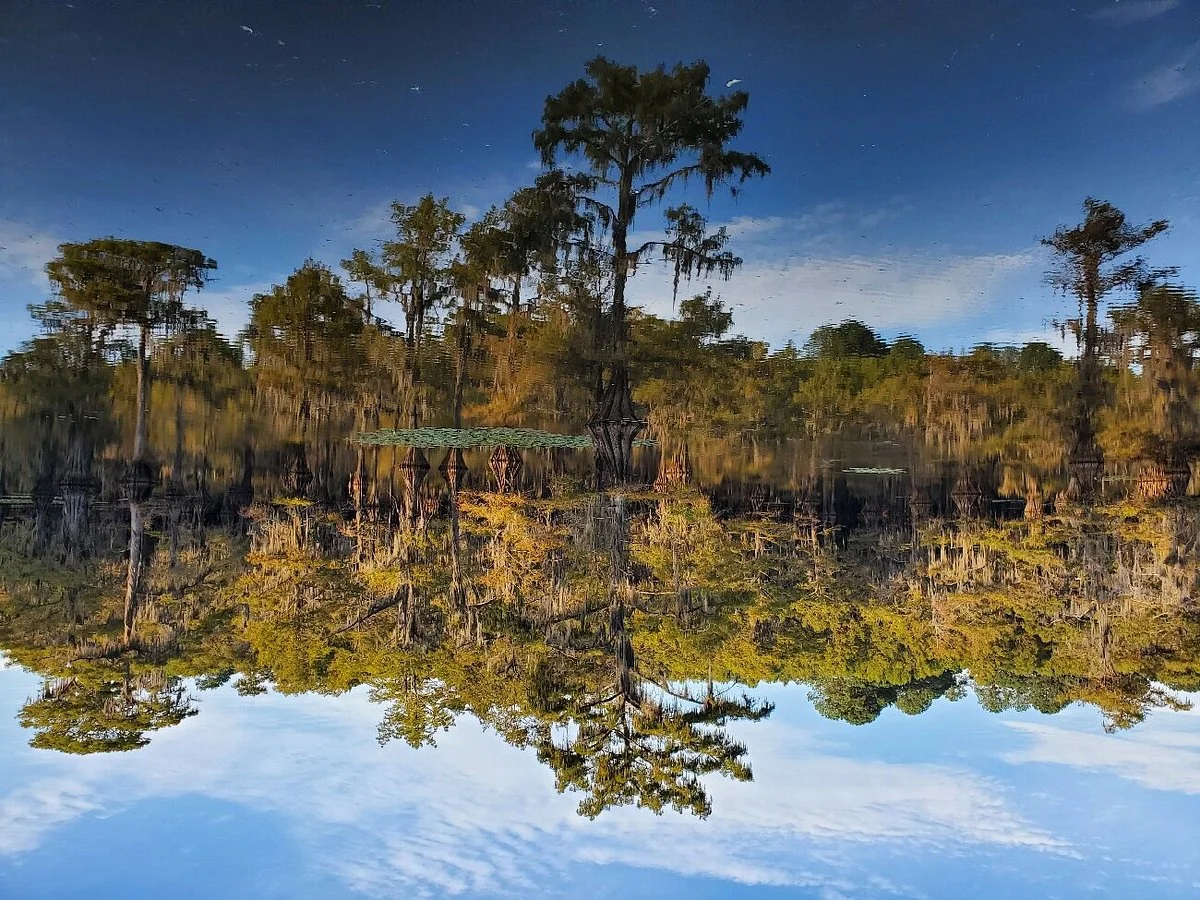 Caddo Lake National Wildlife Refuge