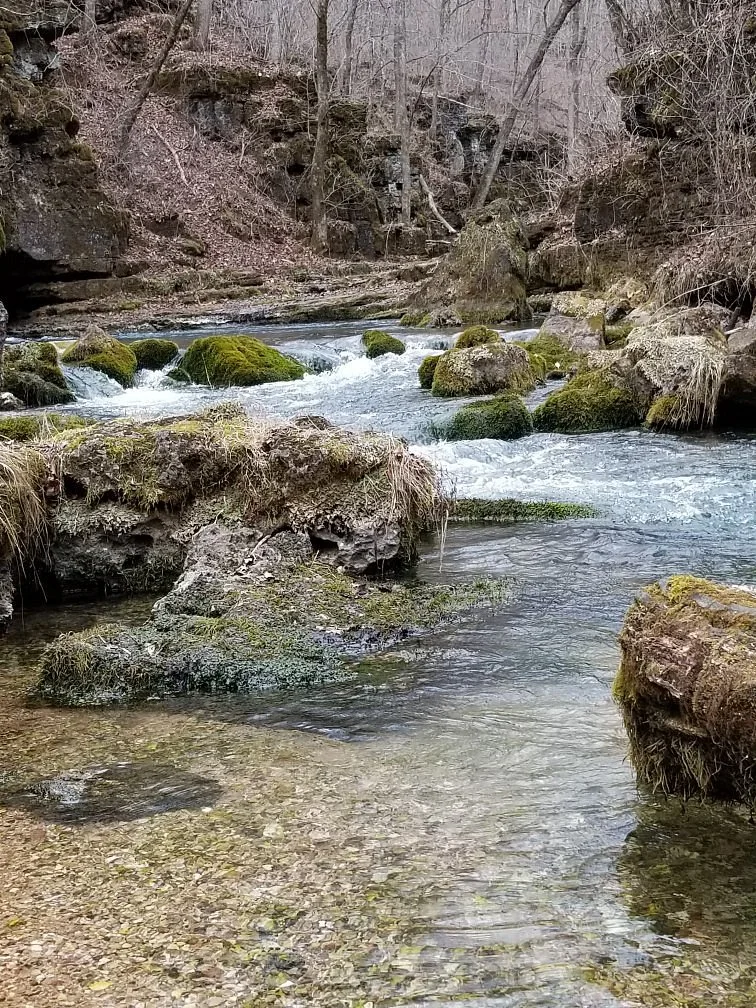 Greer Spring