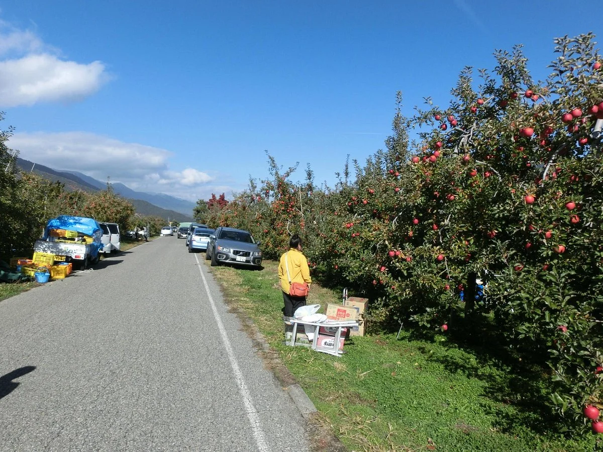 Azumino Tourlist Orchard