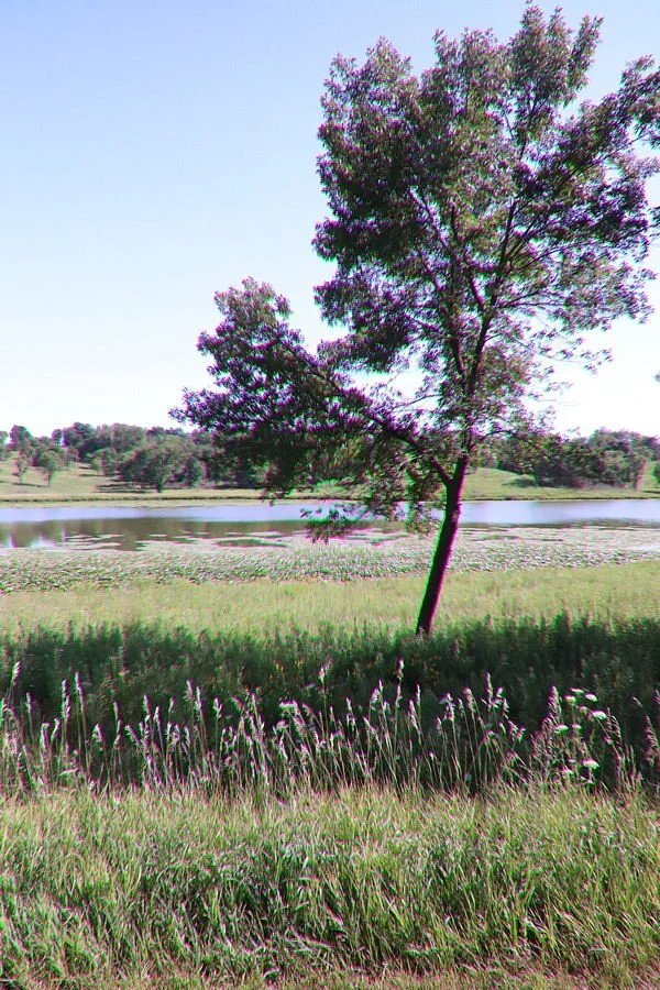 Lake Anita State park