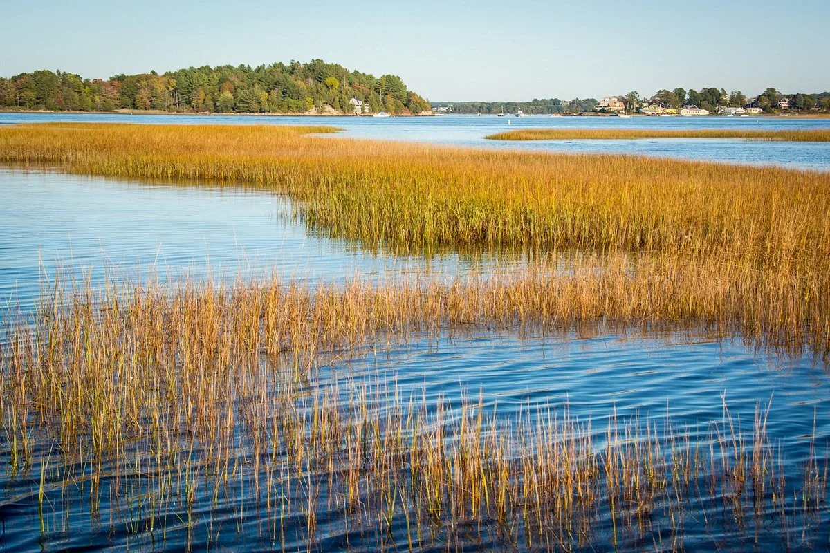 Essex River