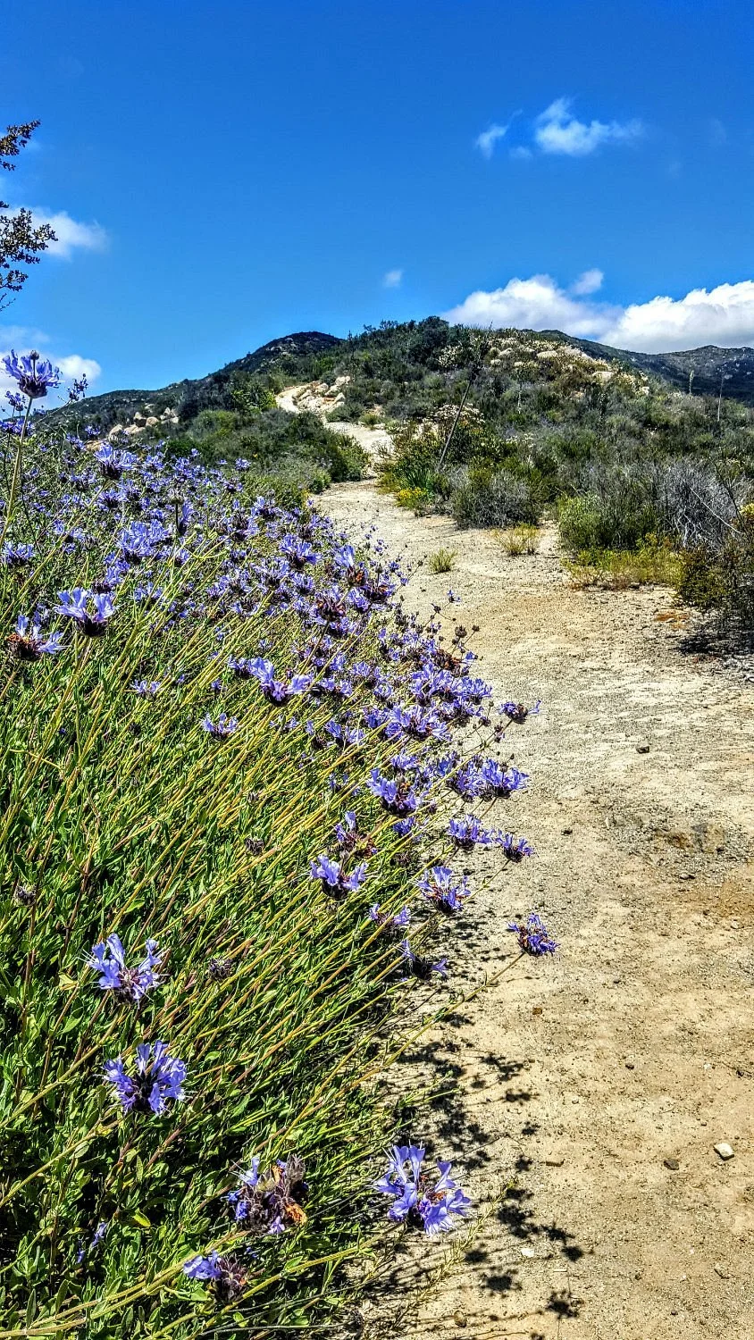 McGinty Mountain Trailhead