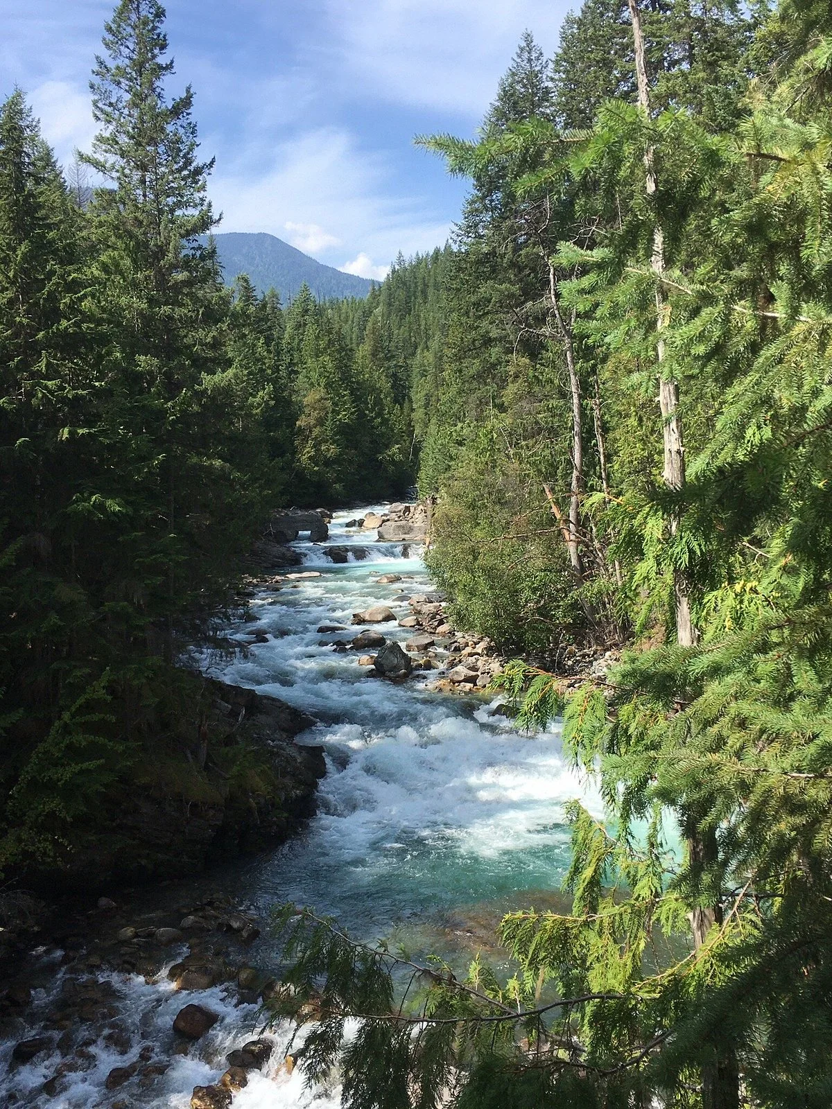 Kaslo River Trail