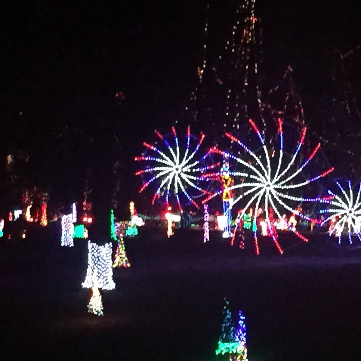 Tilles Park