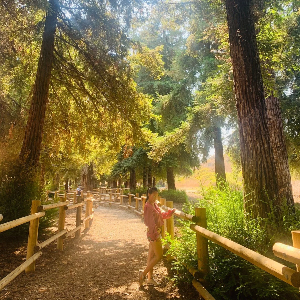 Carbon Canyon Nature Trail