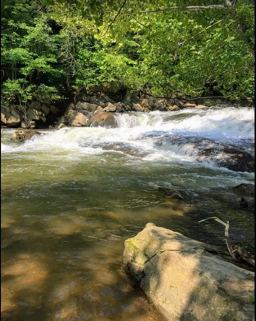 Patapsco Valley State Park McKeldin Area