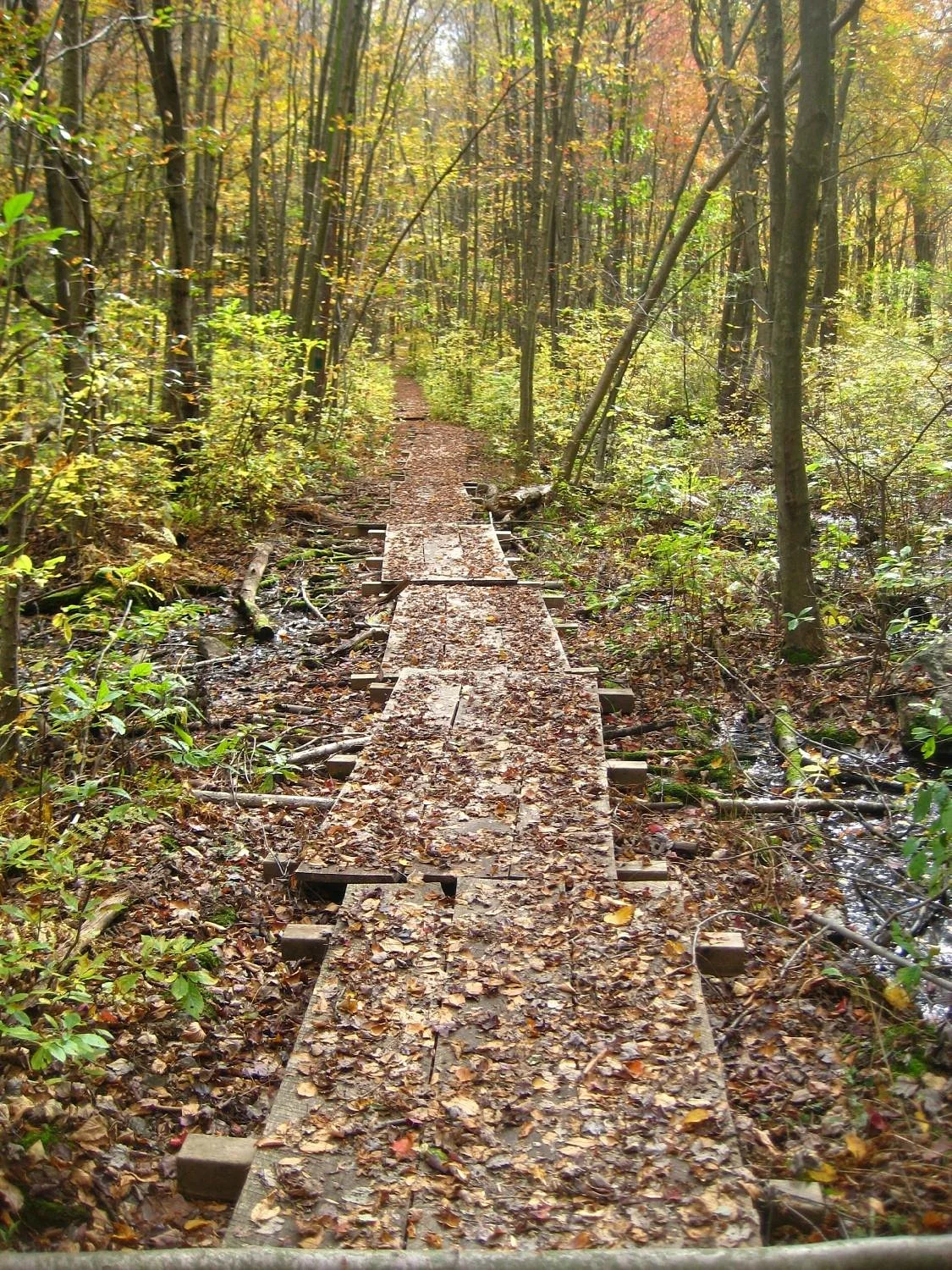 Ansonia Nature & Recreation Center