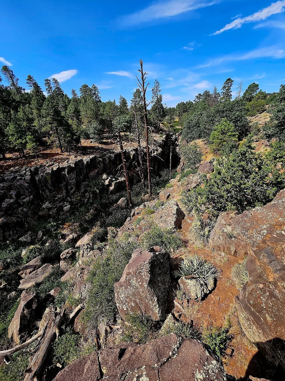 Picture Canyon Natural and Cultural Preserve