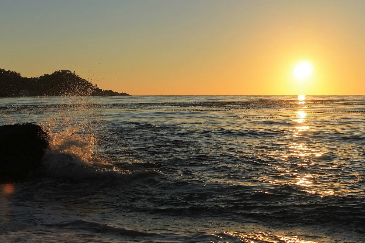 Monastery Beach