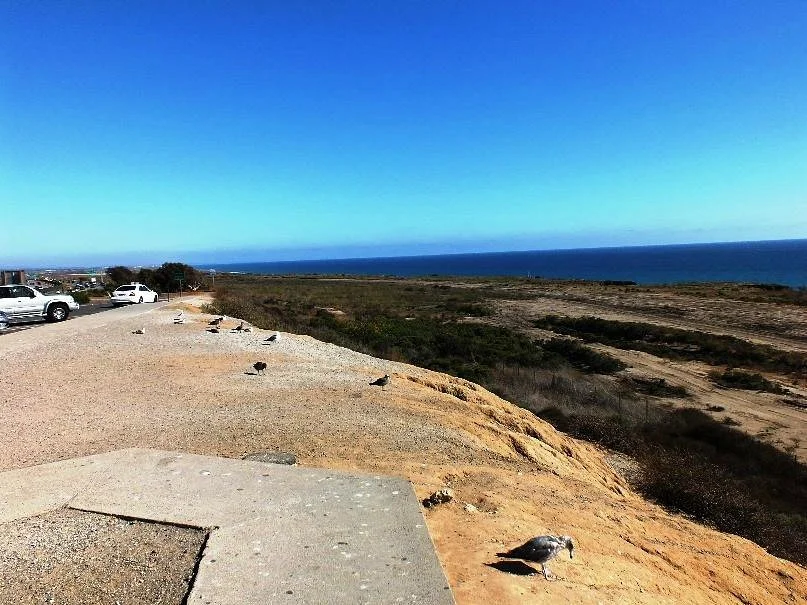 Las Flores View Point on the El Camino Real