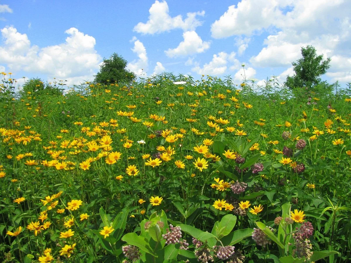 Governor Nelson State Park