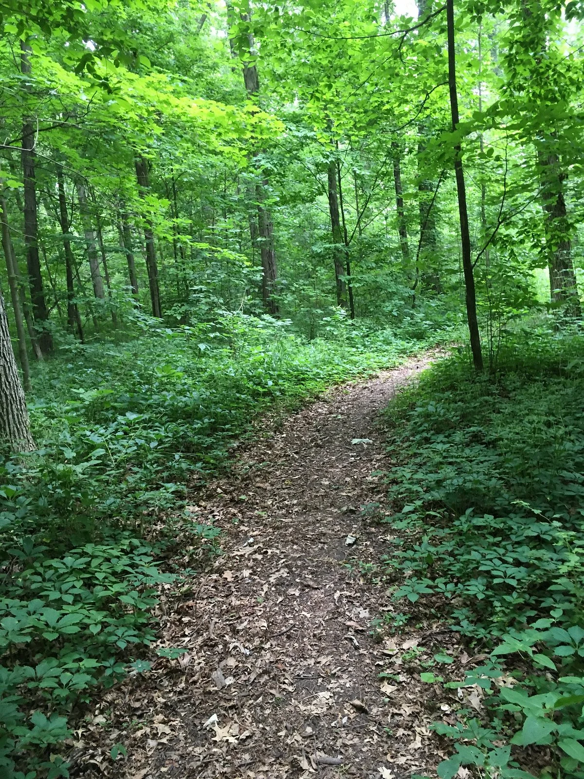 Heritage Trails Park District