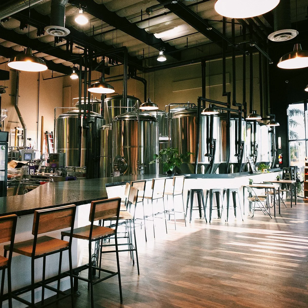 Wiens Brewing Company