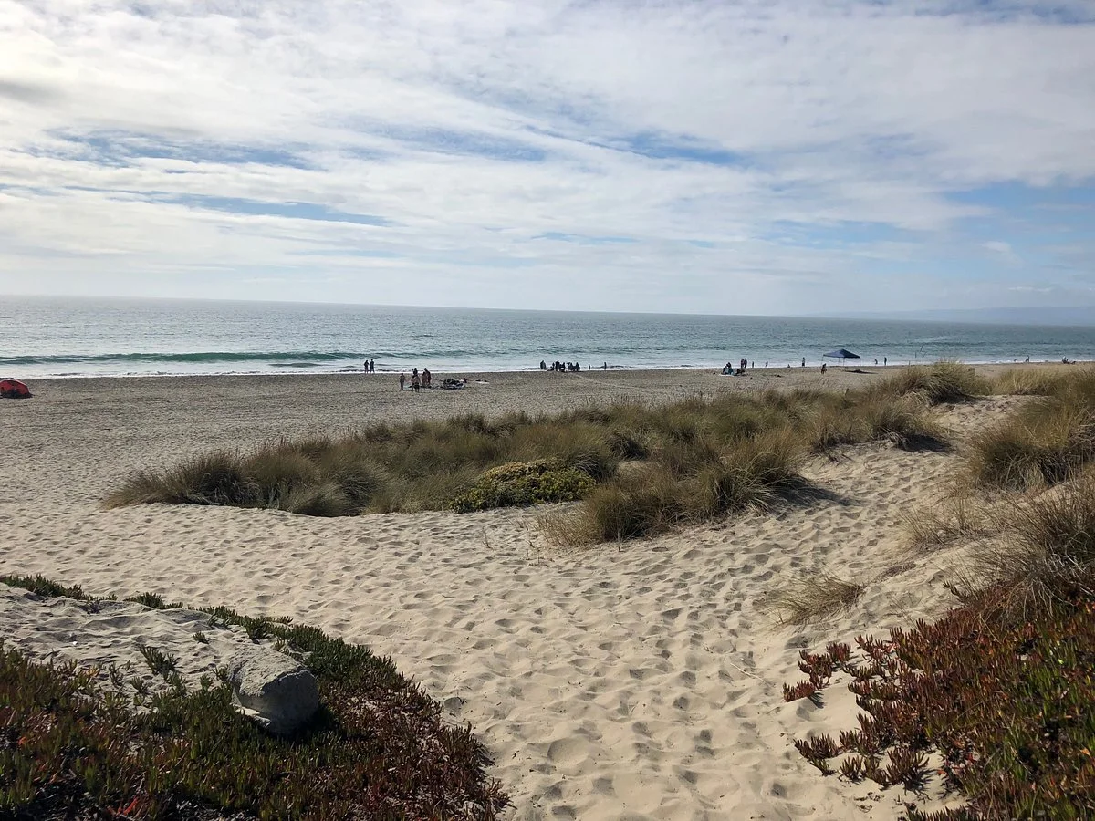 Palm Beach State Park