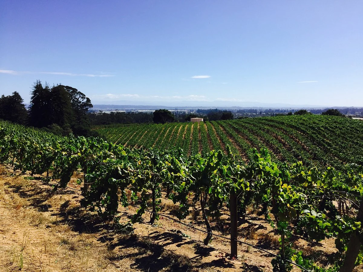 Partage Winery