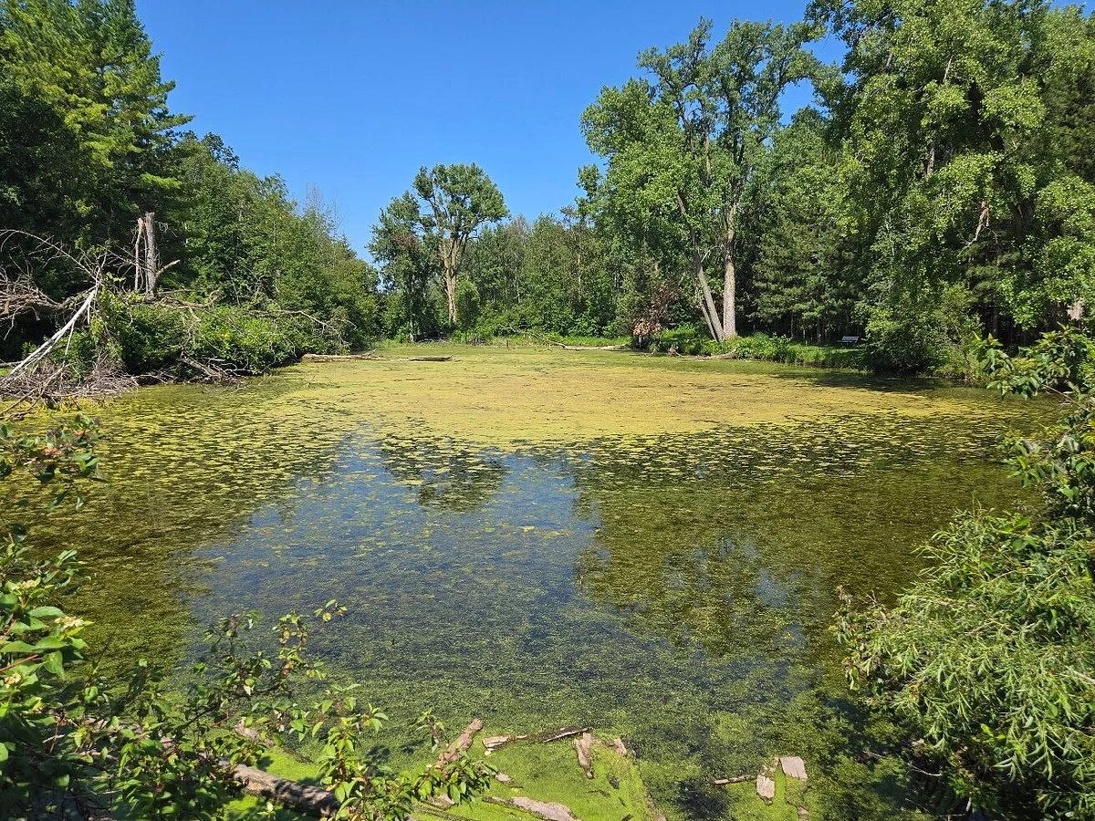 Barkhausen Waterfowl Preserve