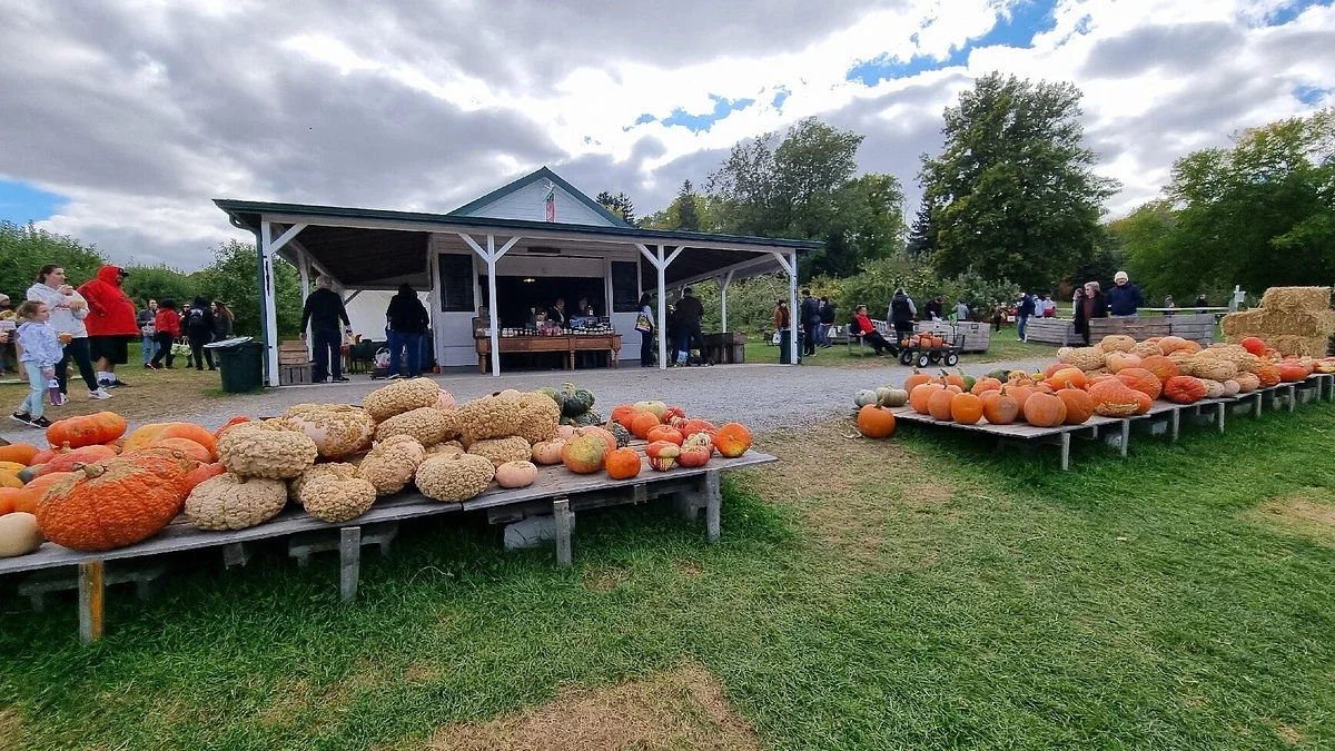 Blackman Homestead Farm