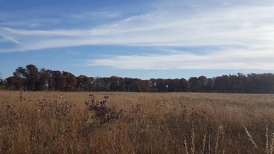 Blue Hill Trail