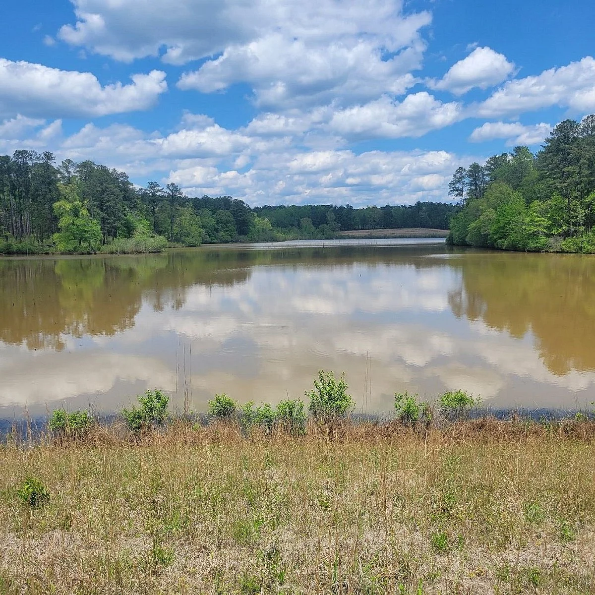 Piedmont National Wildlife Refuge