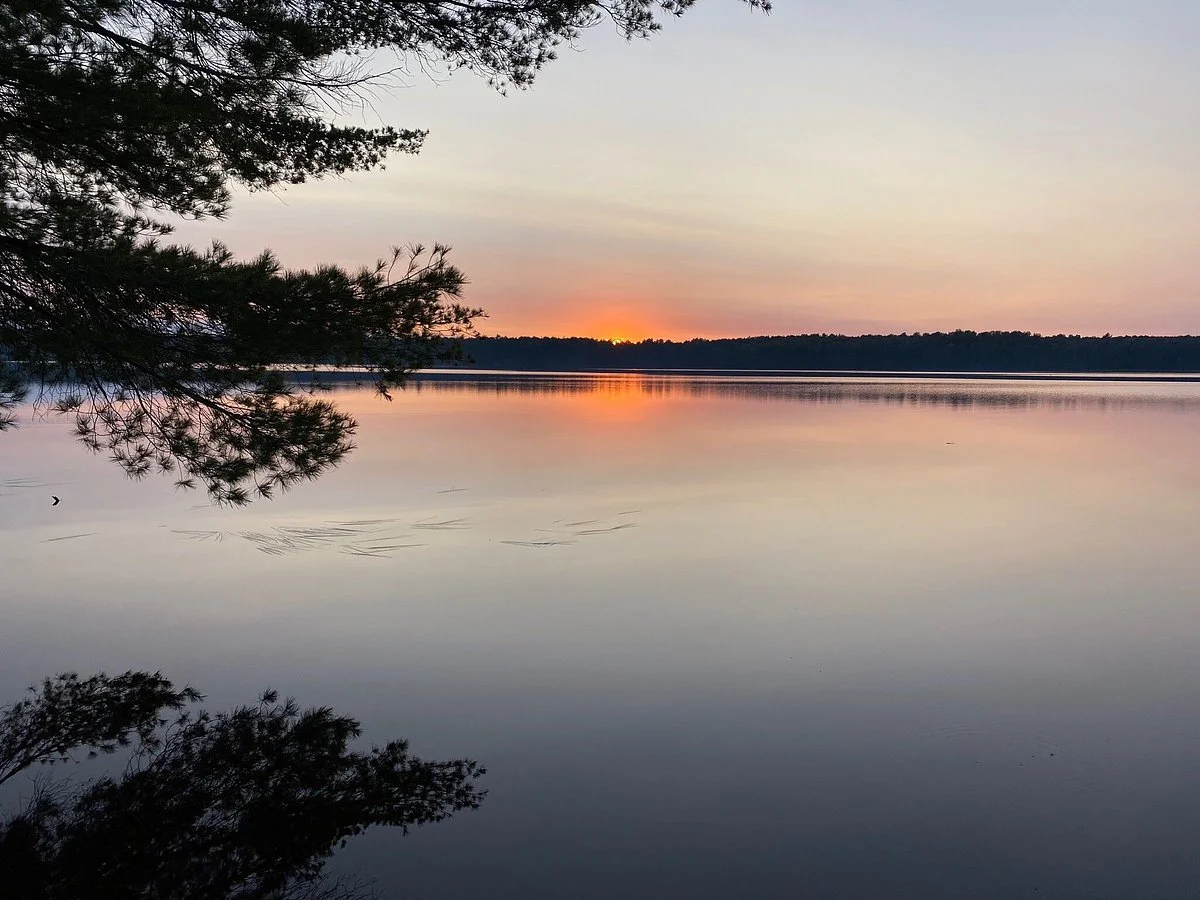 Chequamegon-Nicolet National Forest