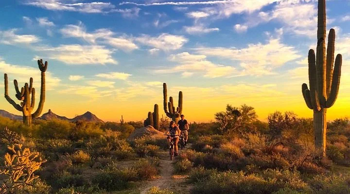 Theatre Artists Studio