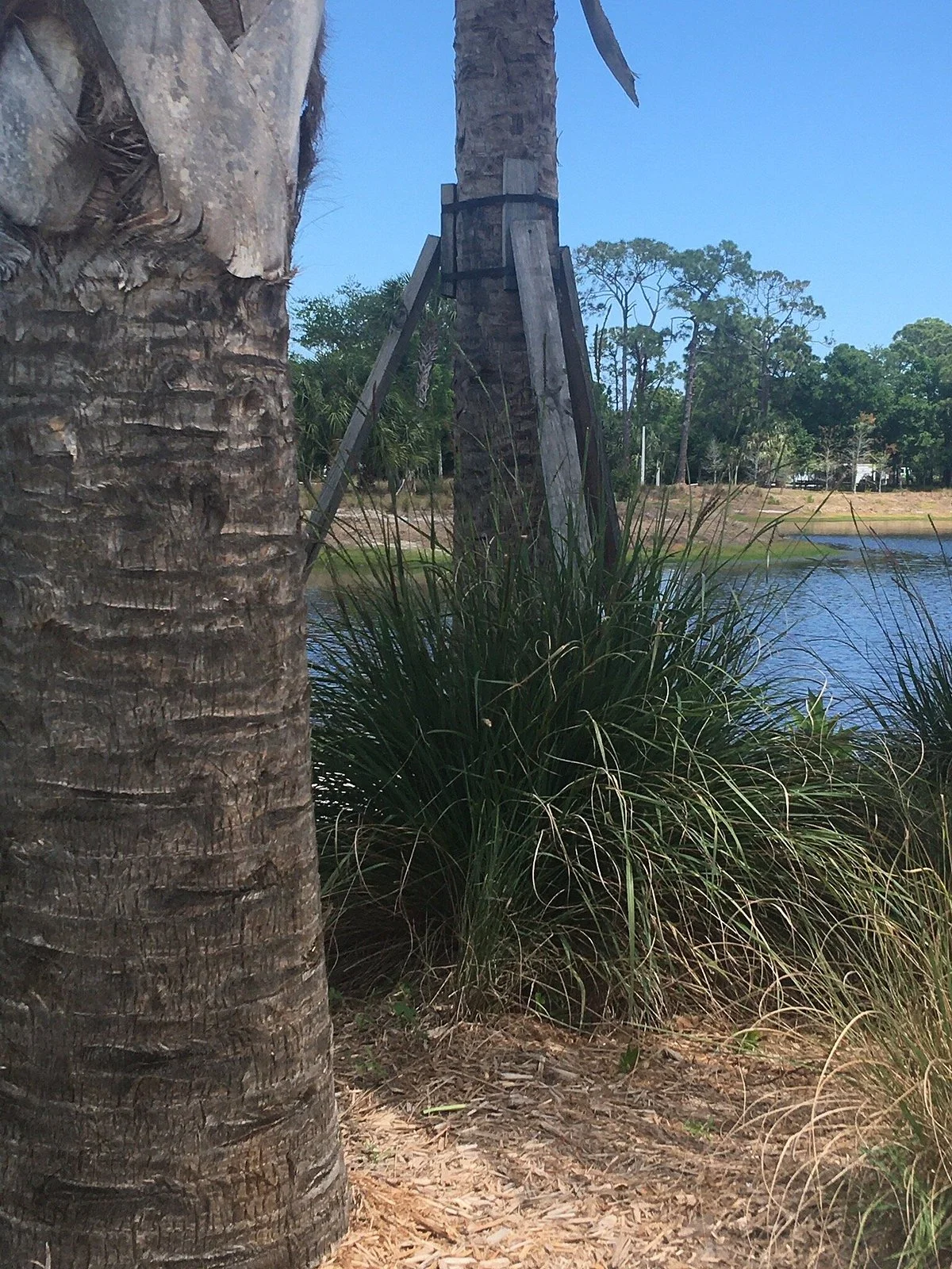 Cinquez Park