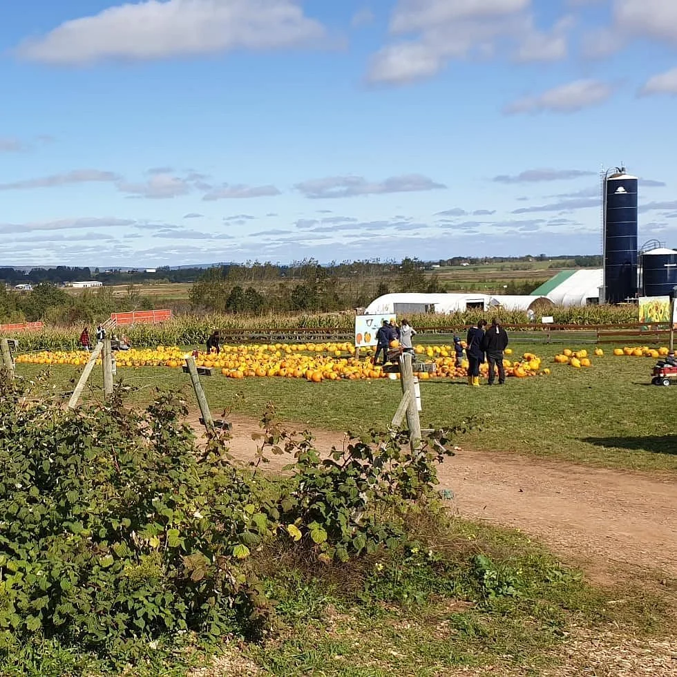 Noggins Corner Farm Market