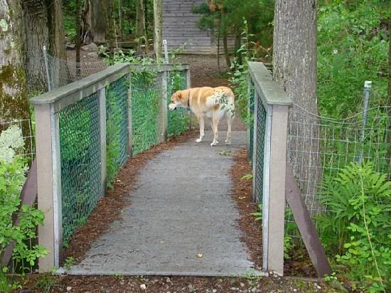 Quarry Run Dog Park